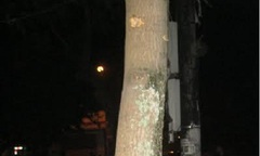 Thông tin mới nhất vụ đấu súng kinh hoàng trong đêm ở xứ Nghệ